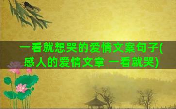 一看就想哭的爱情文案句子(感人的爱情文章 一看就哭)